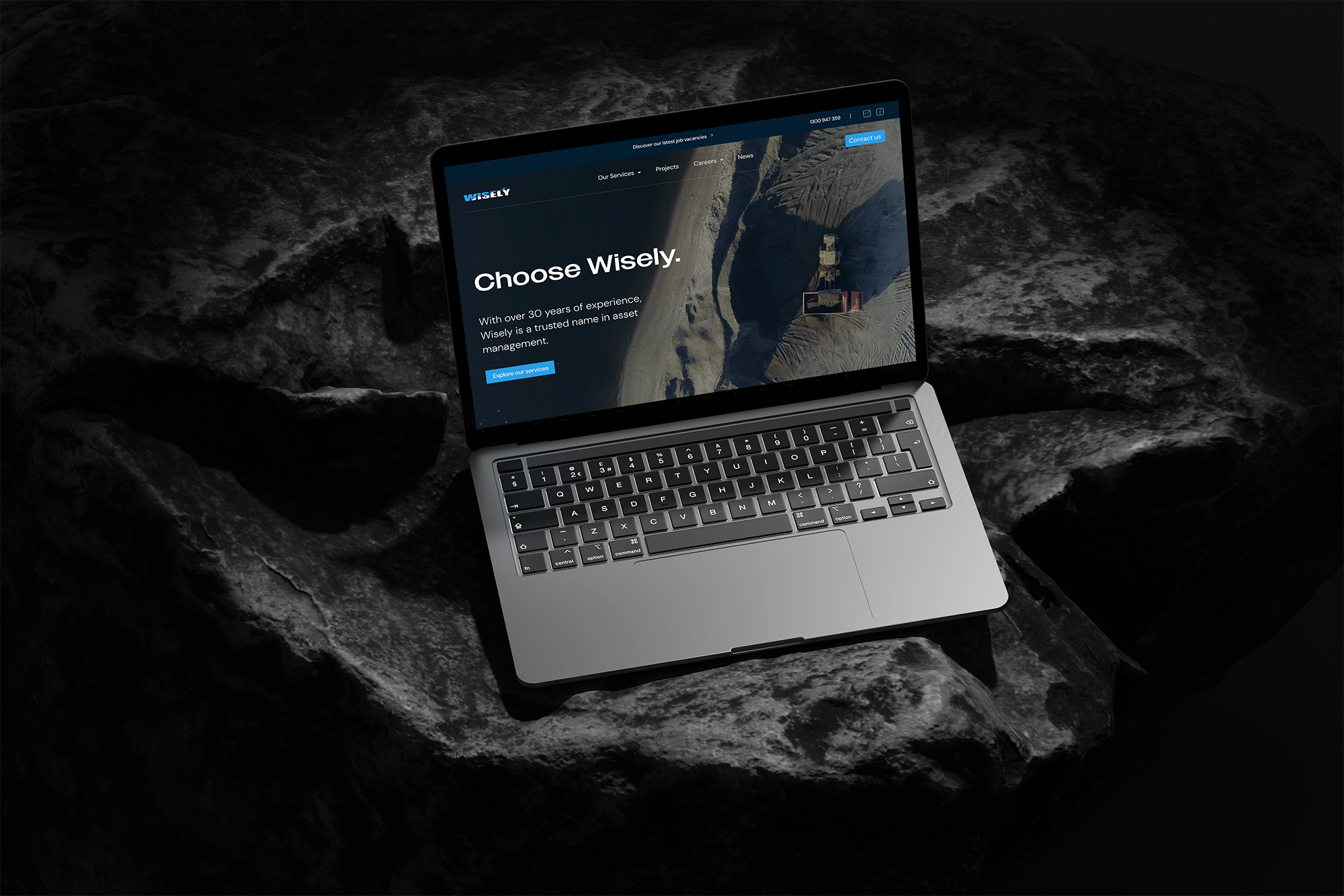 Wisely website UI design mock up