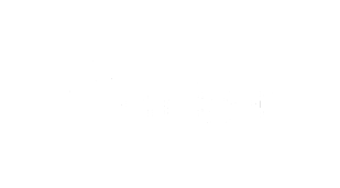 Envigor Logo