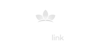 Carbon Link