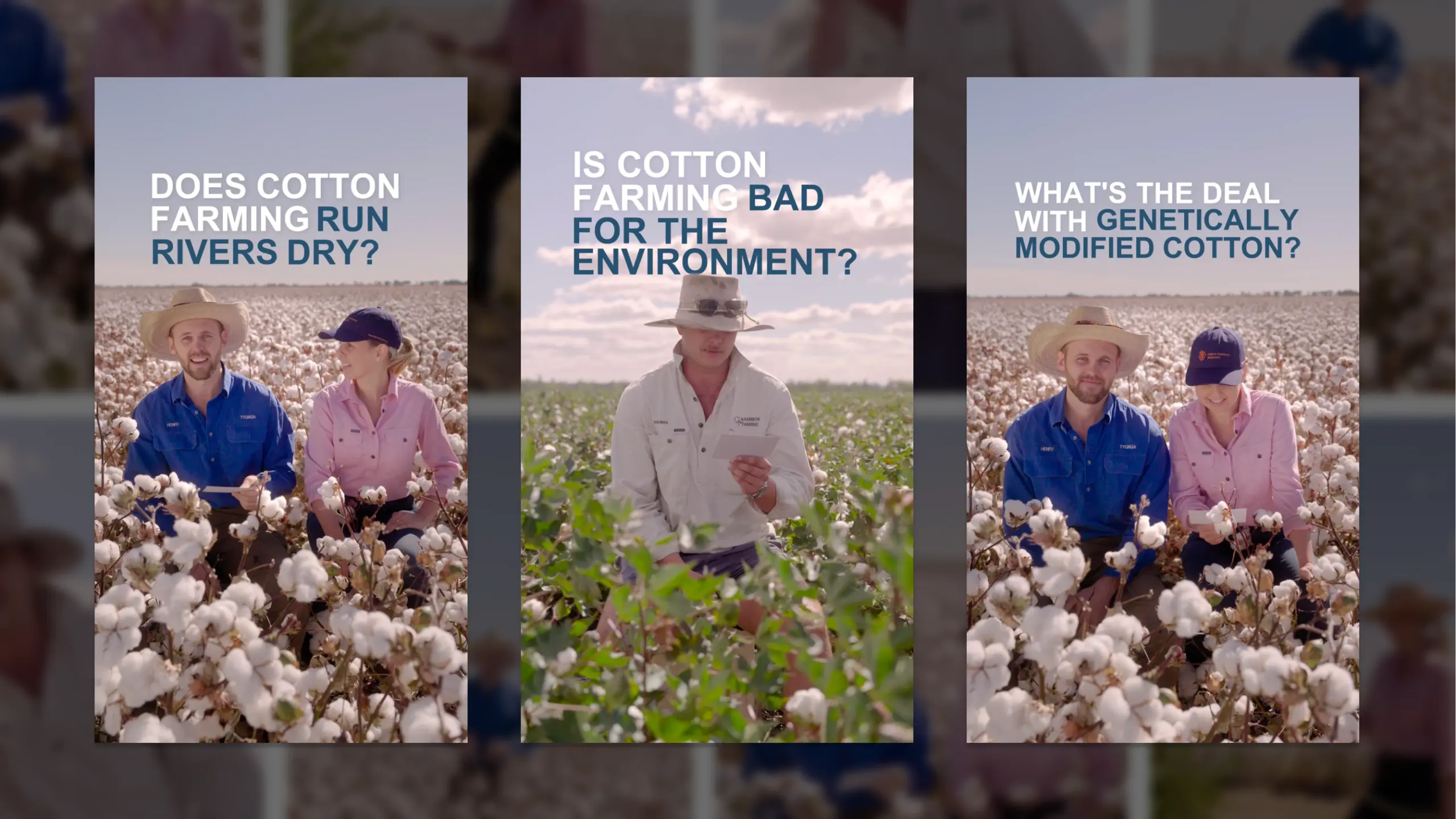 Cotton Australia